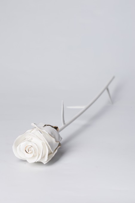 Decorative porcelain products