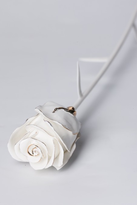 Decorative porcelain products
